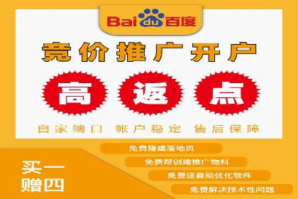 案例分析：SEM竞价代运营策略优化